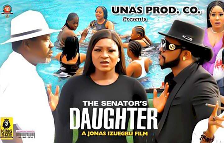 The Senator's Daughter poster