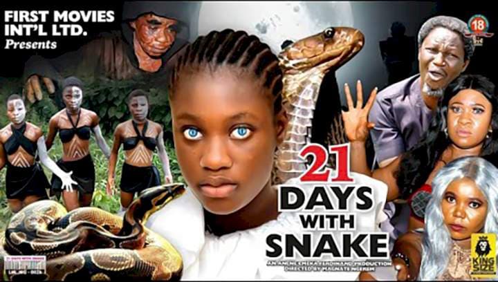 21 Days With Snake poster