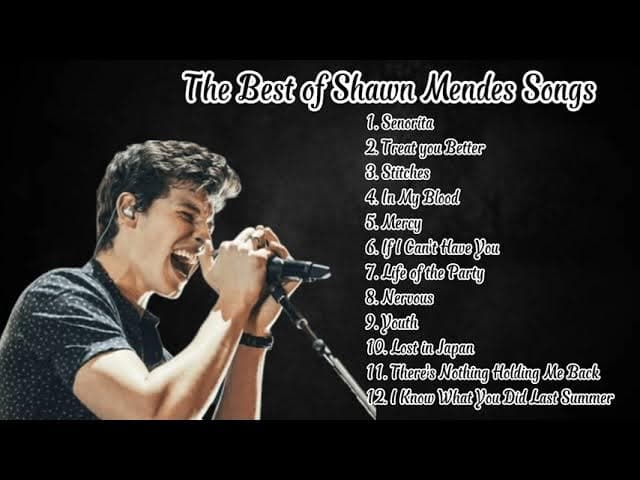 The Best of Shawn Mendes Songs poster