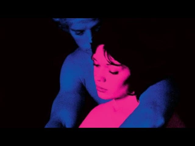 Tv Girl Playlist || the best of the band poster