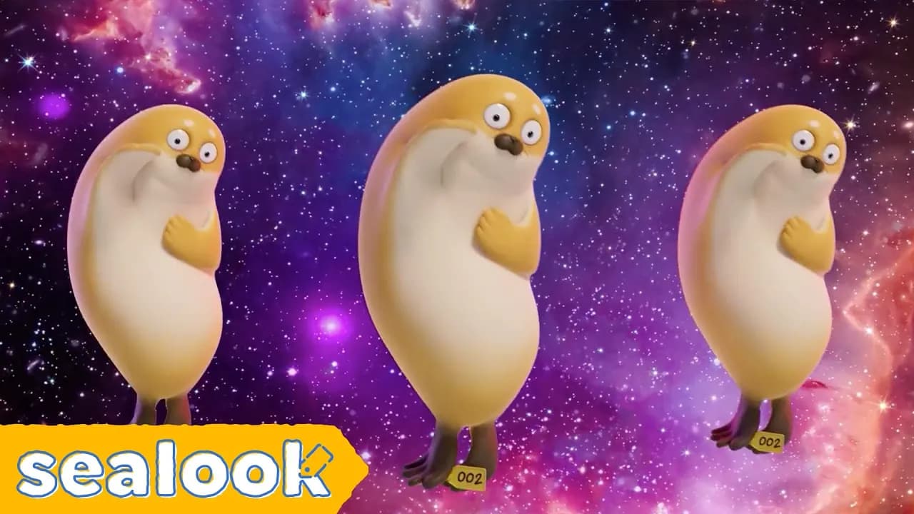 Bouncing SealsㅣSEALOOKㅣEP.5 poster