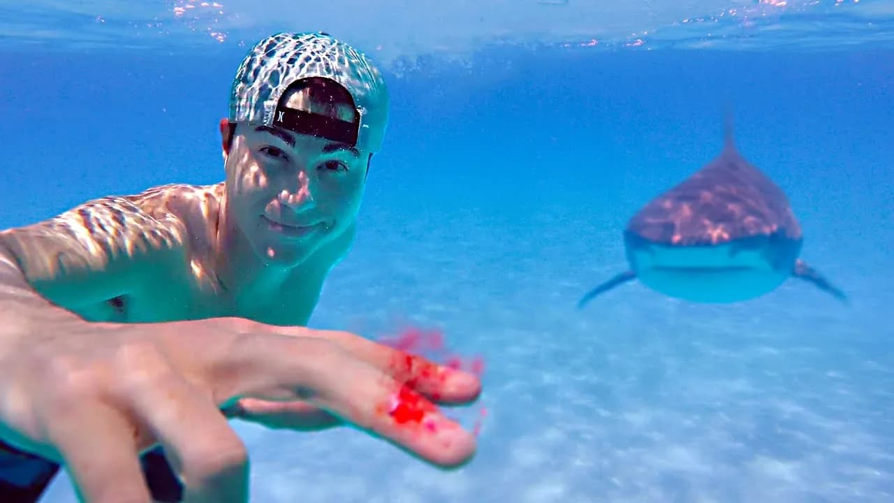 Testing if Sharks Can Smell a Drop of Blood poster