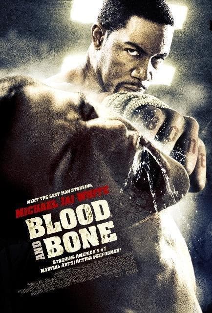 Blood and Bone poster