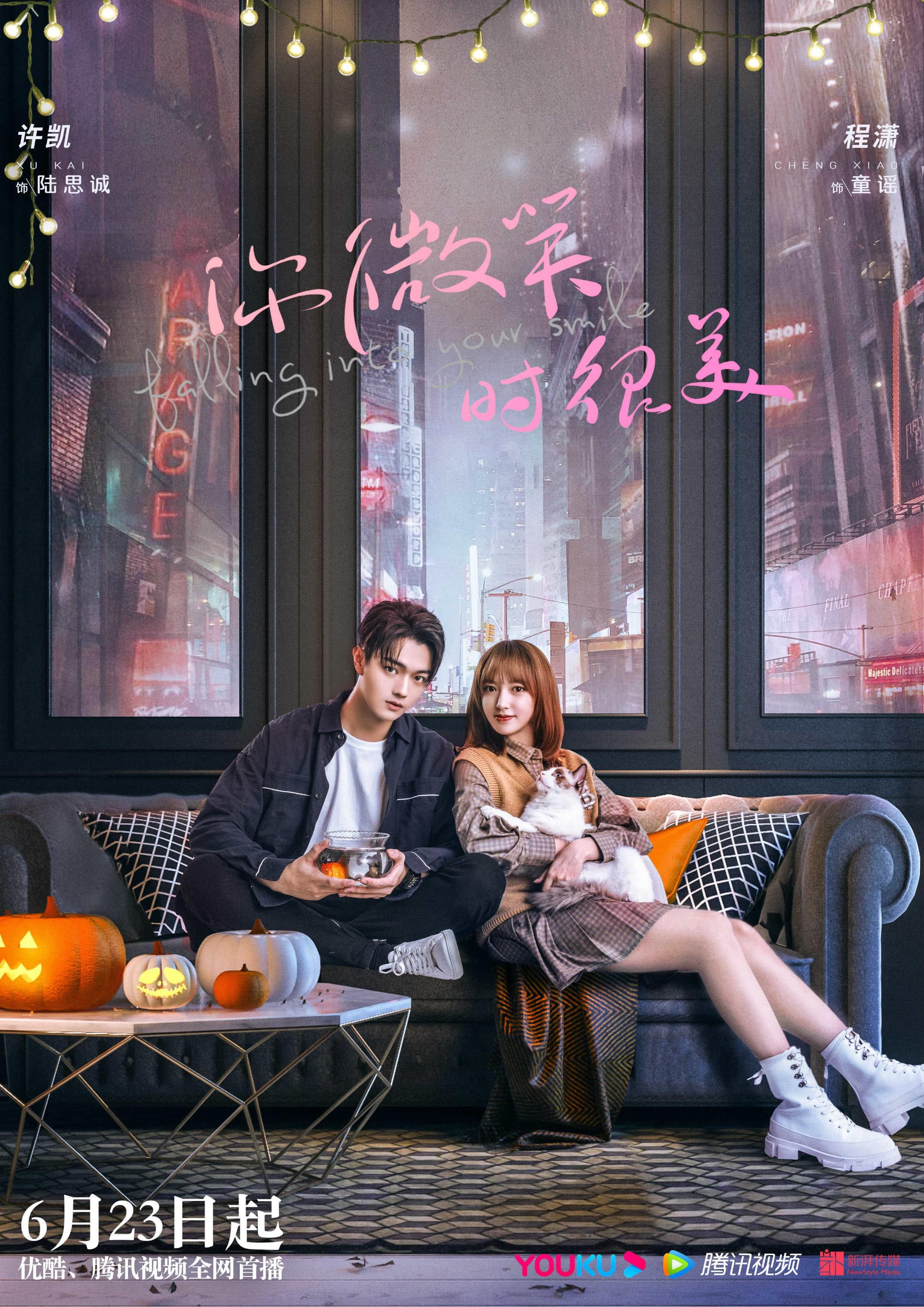 Falling Into Your Smile poster