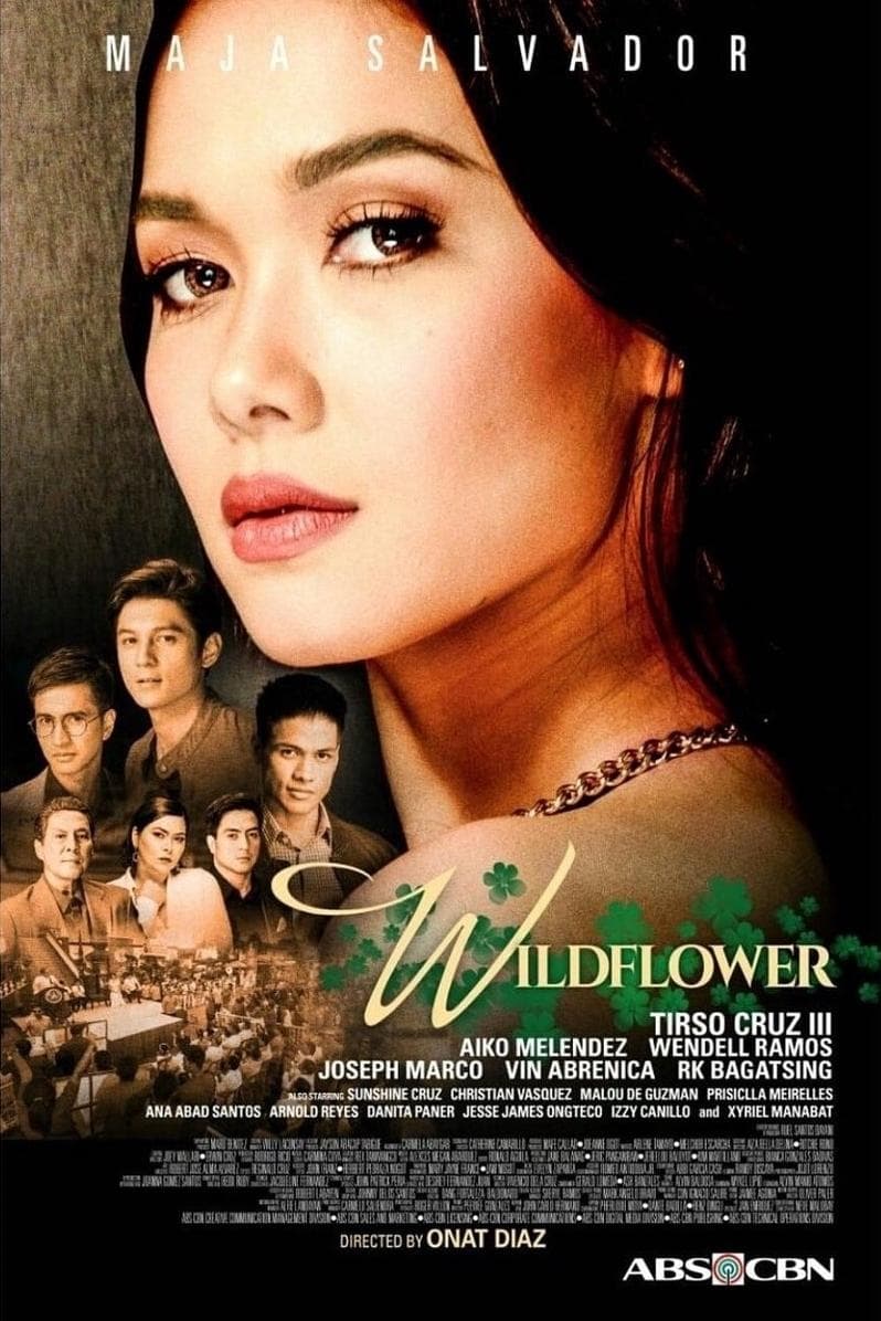 Wildflower poster