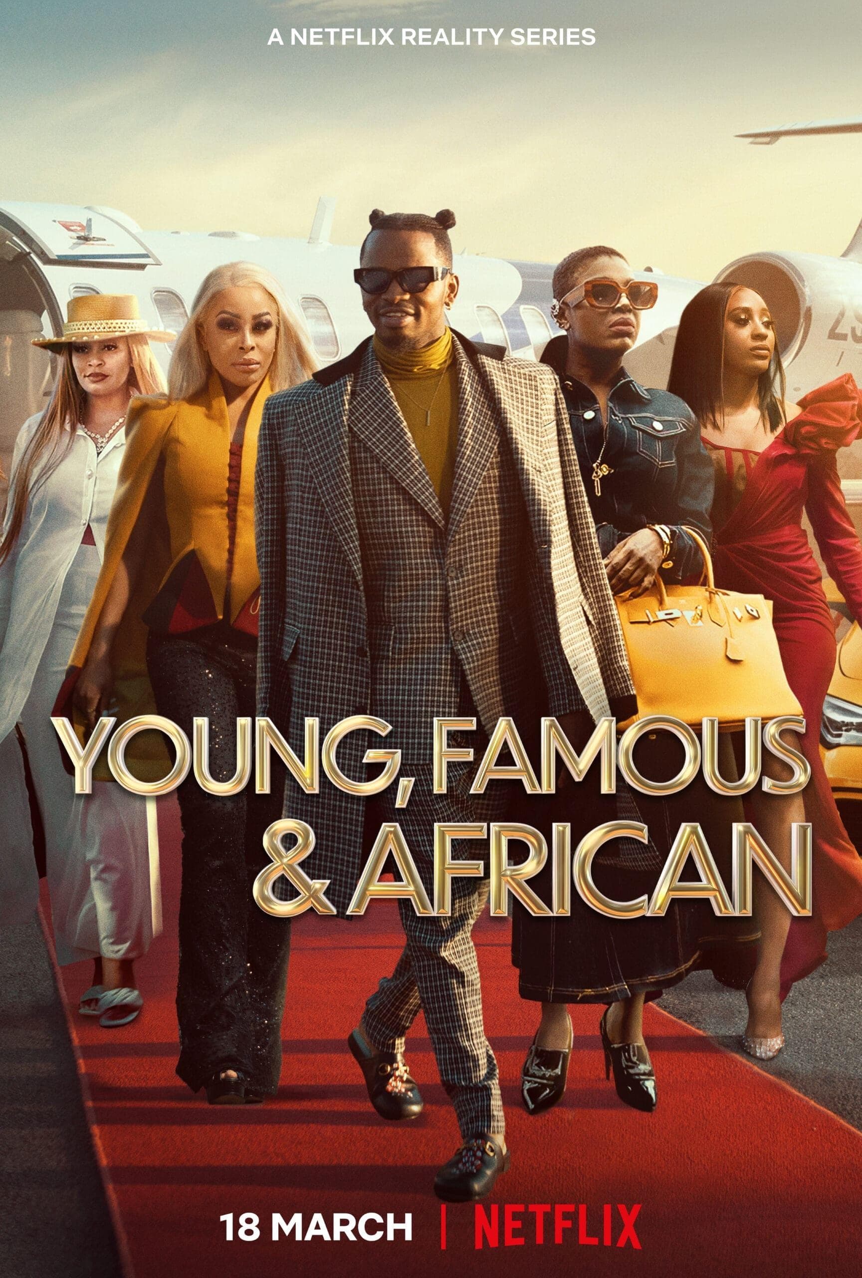 Young, Famous & African poster