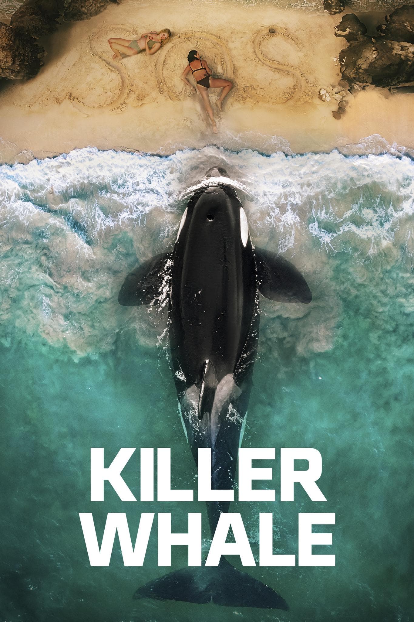 Killer Whale poster