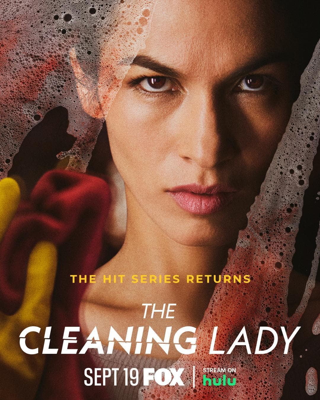 The Cleaning Lady poster