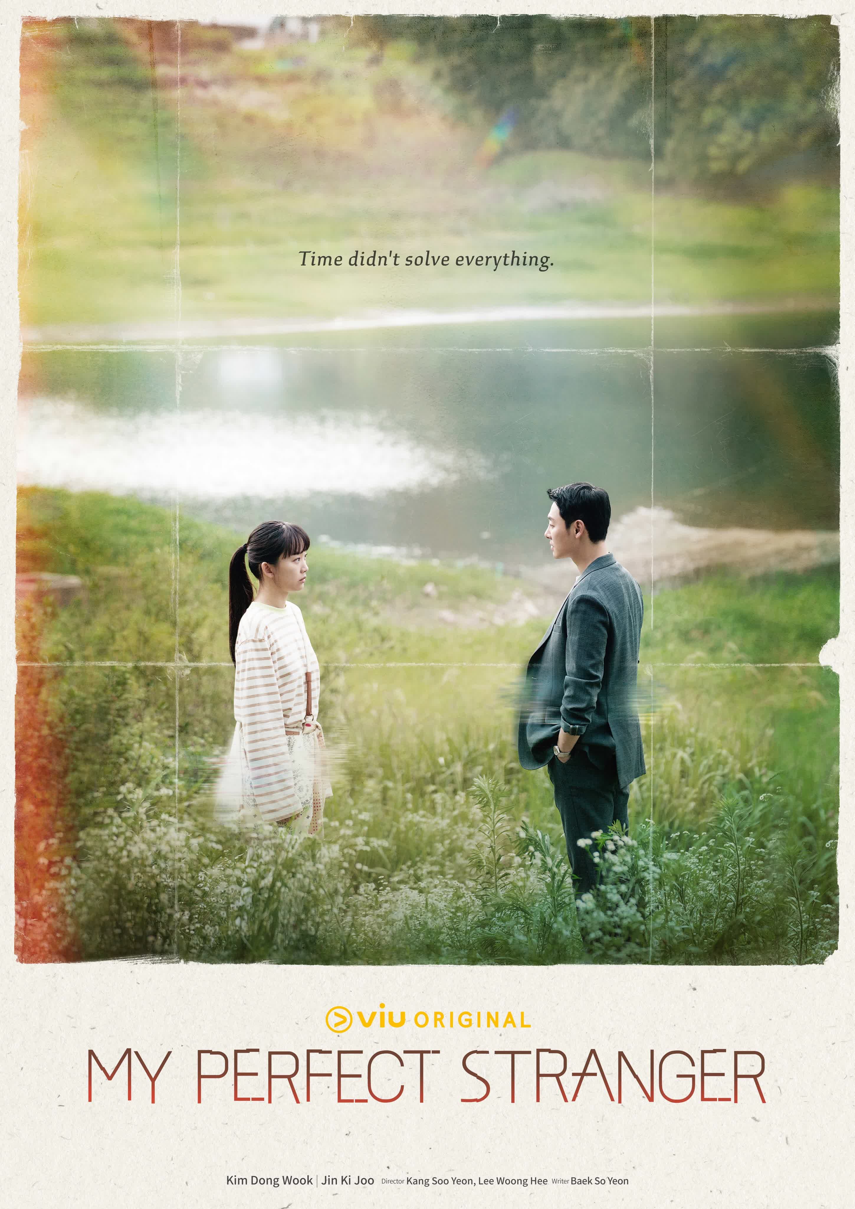 My Perfect Stranger poster
