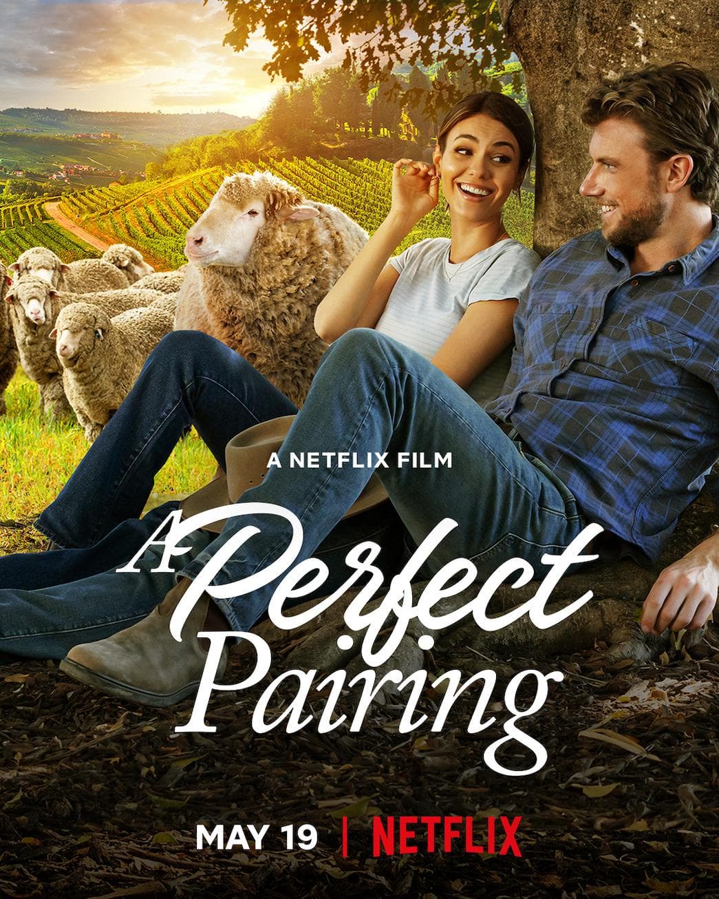 A Perfect Pairing poster