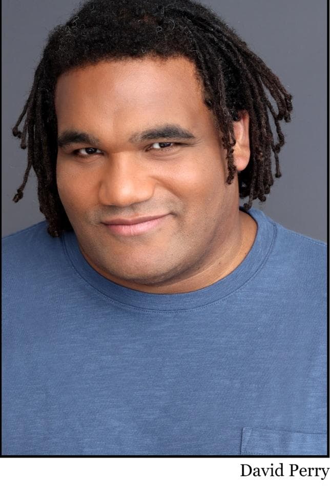 David Perry