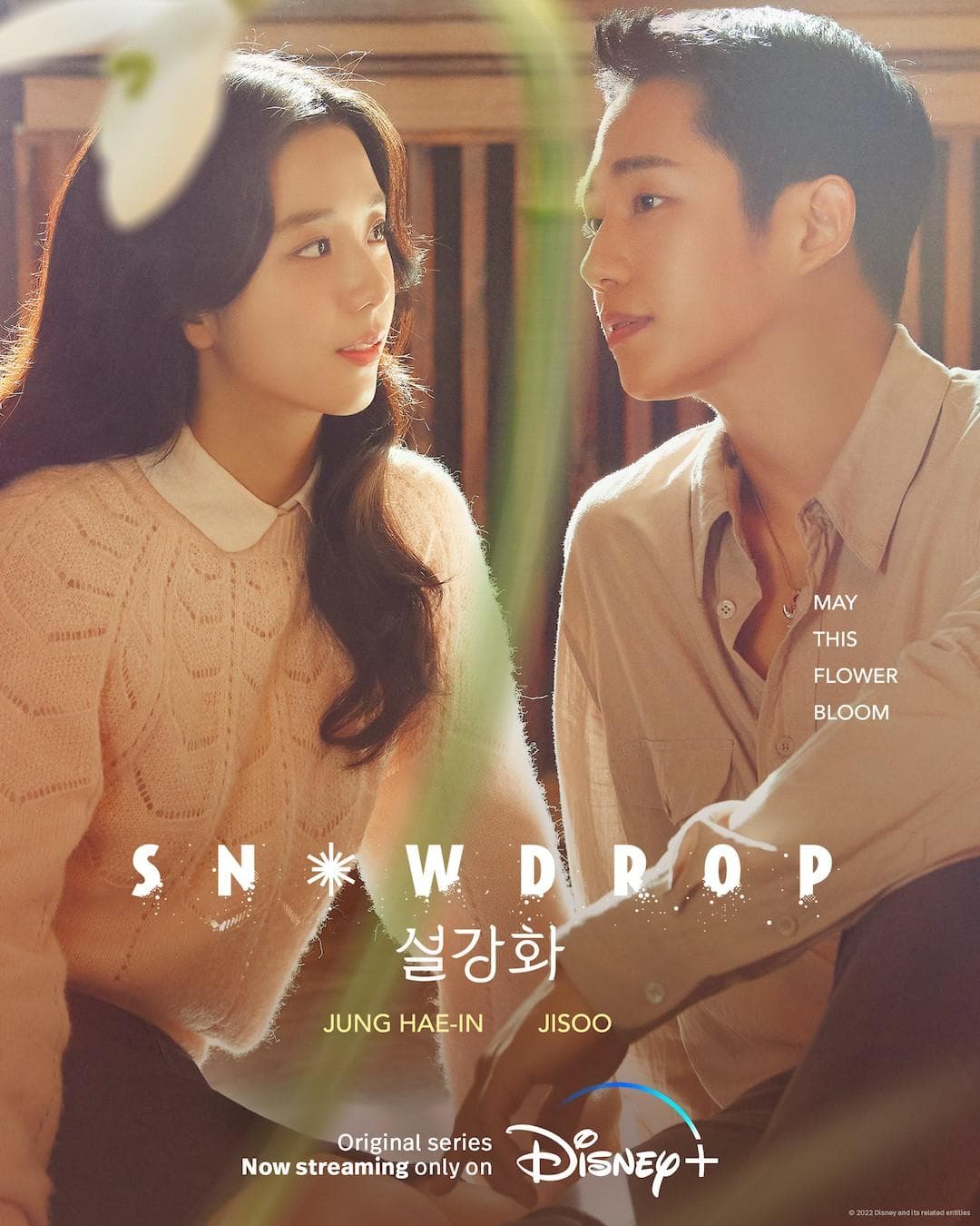 Snowdrop poster