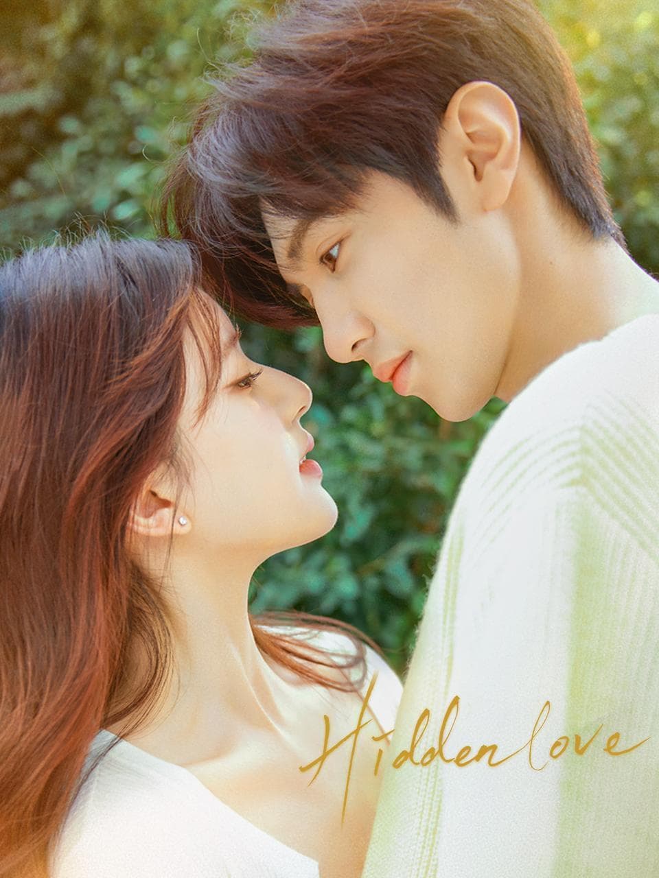Hidden Love poster