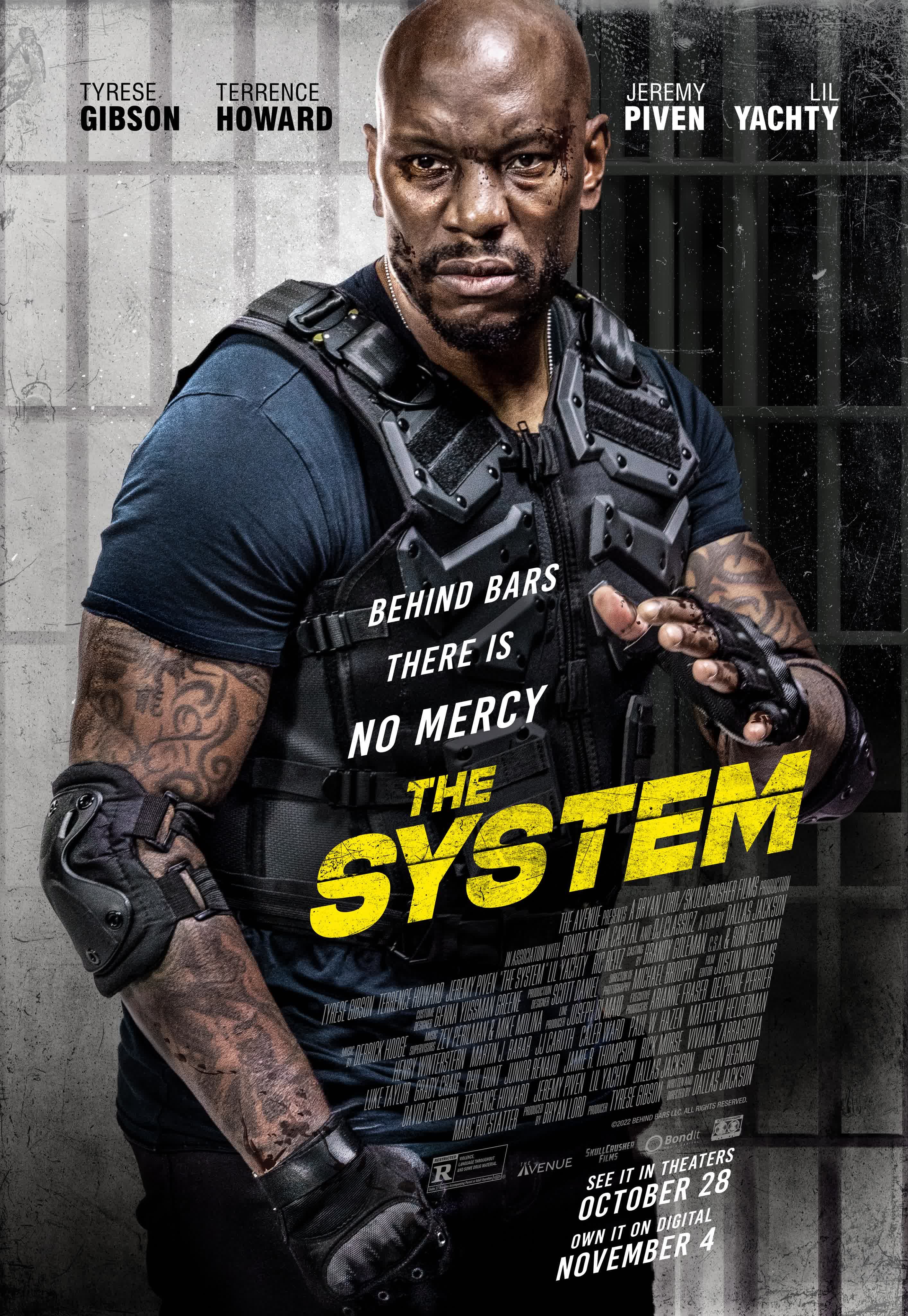 The System poster