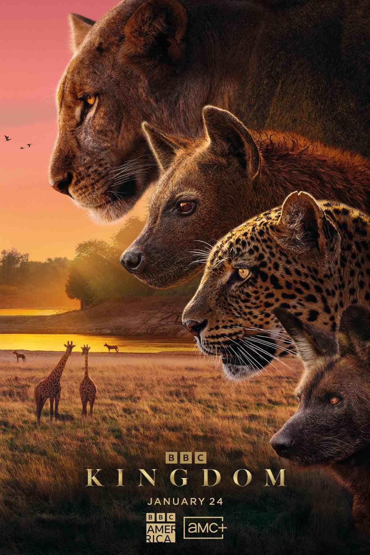 Kingdom poster