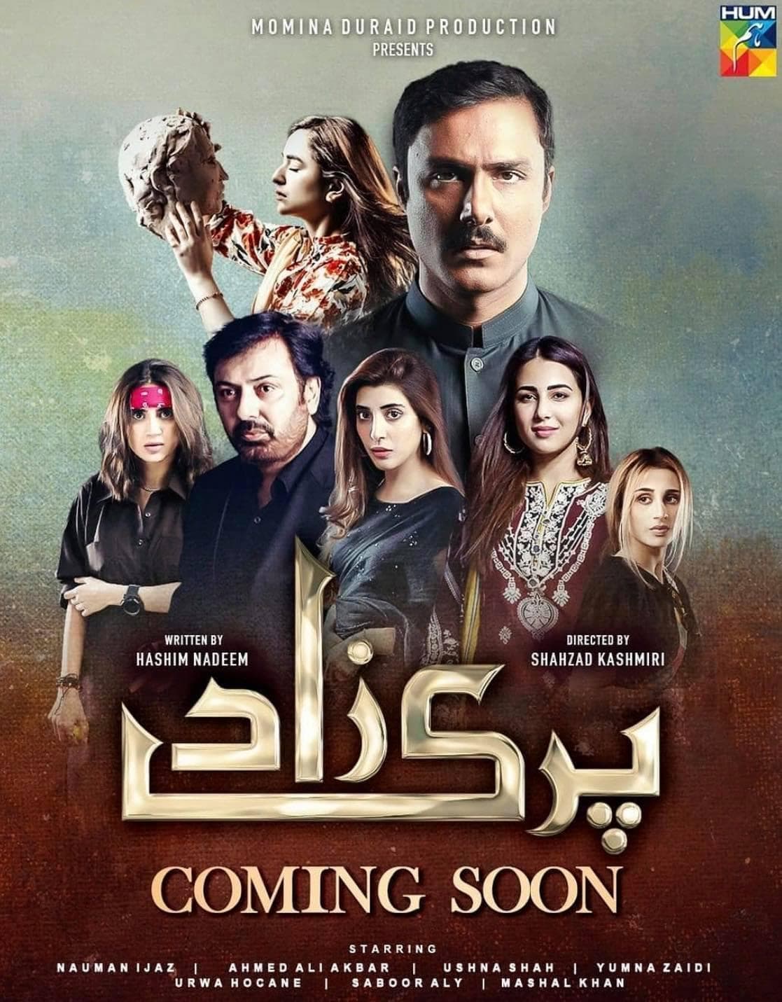 Parizaad poster