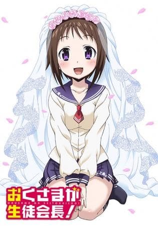 My Wife Is the Student Council President poster