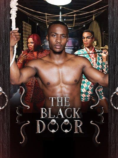 The Black Door poster
