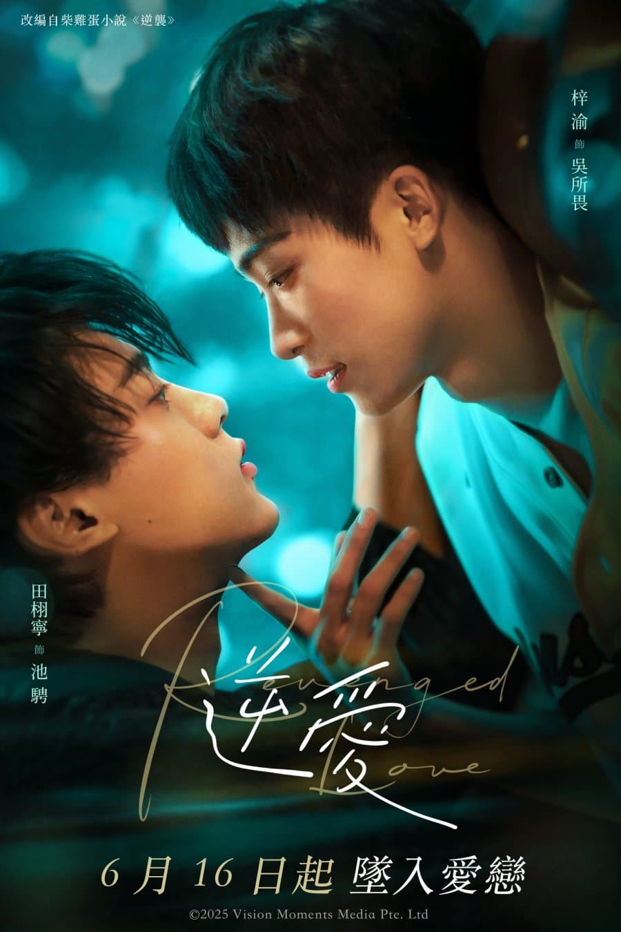 Revenged Love poster