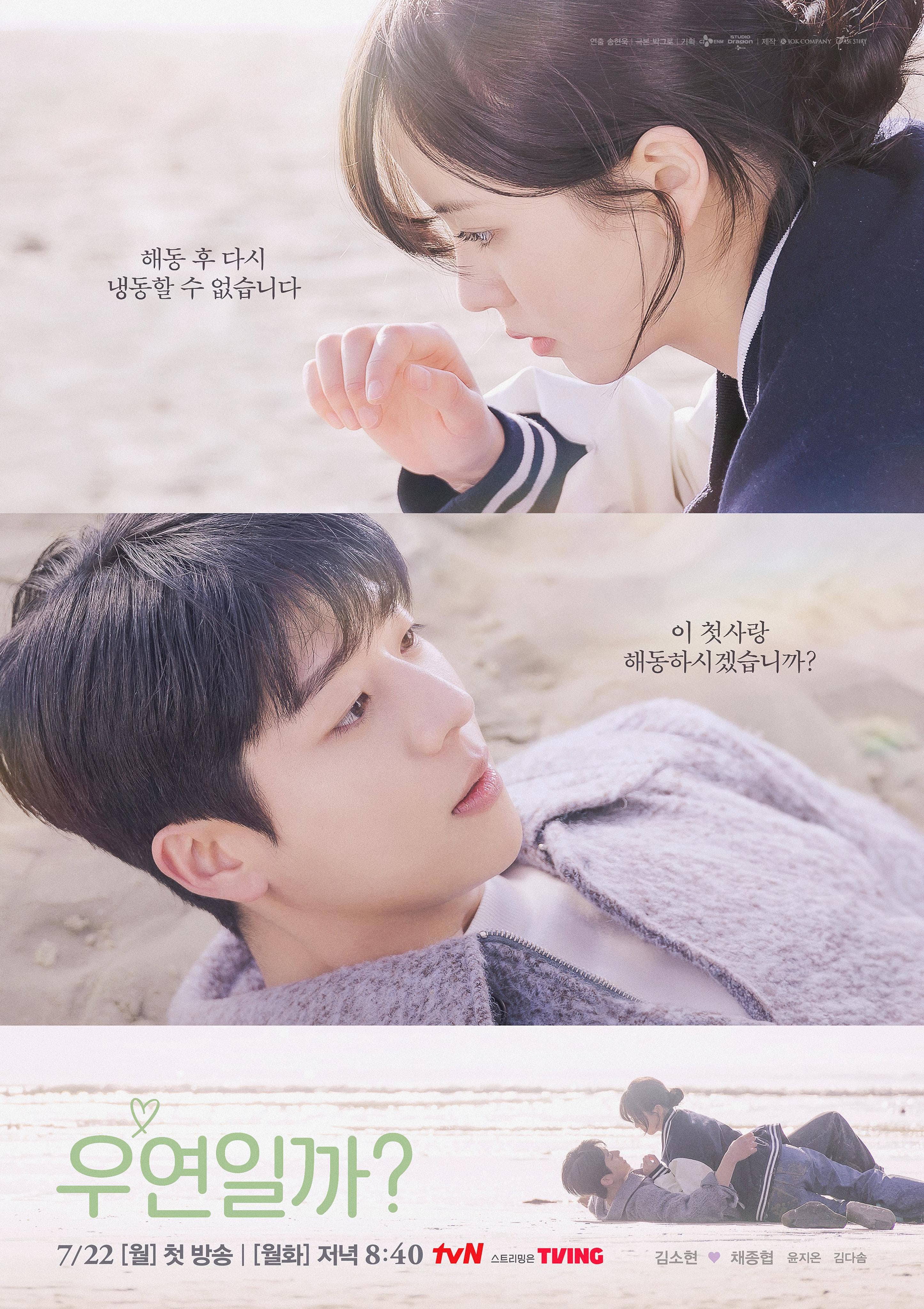 Serendipity's Embrace poster