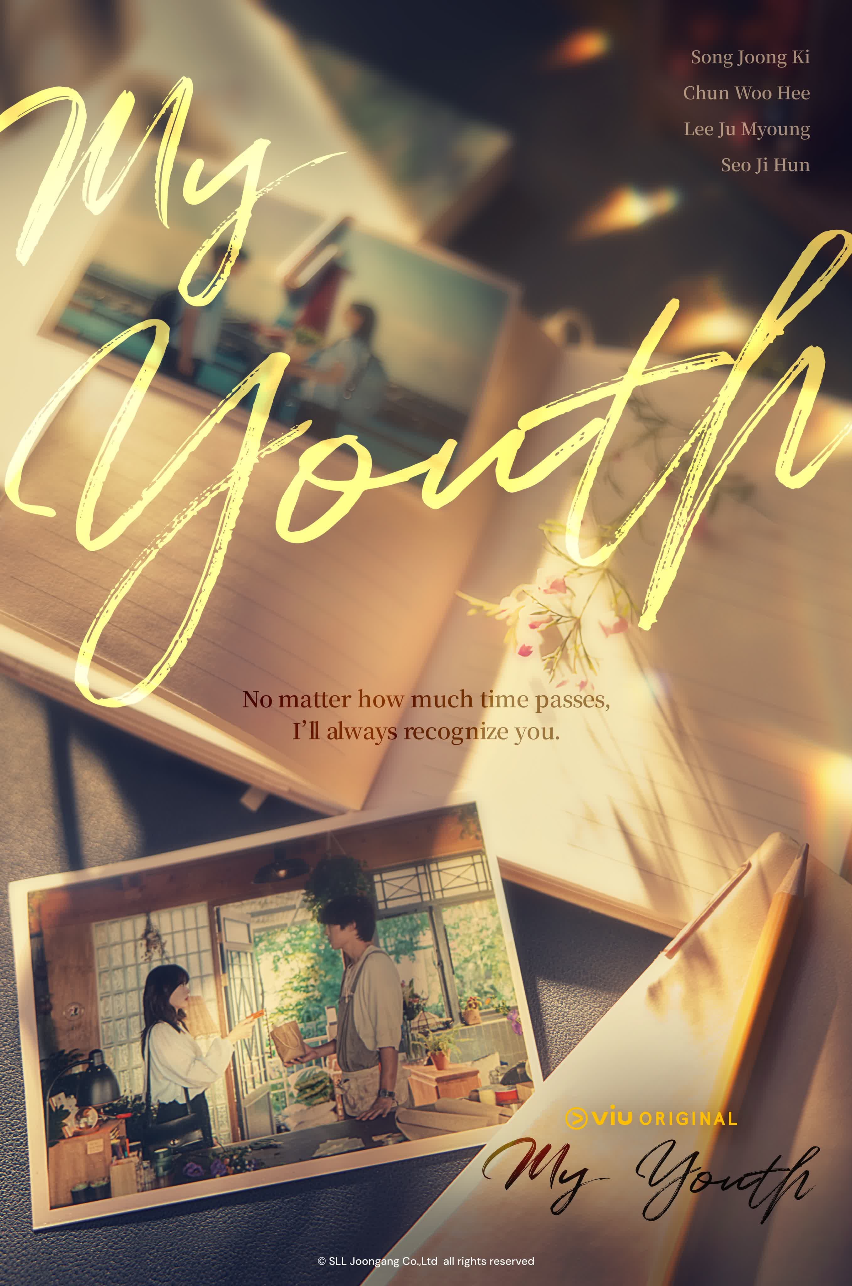 My Youth poster