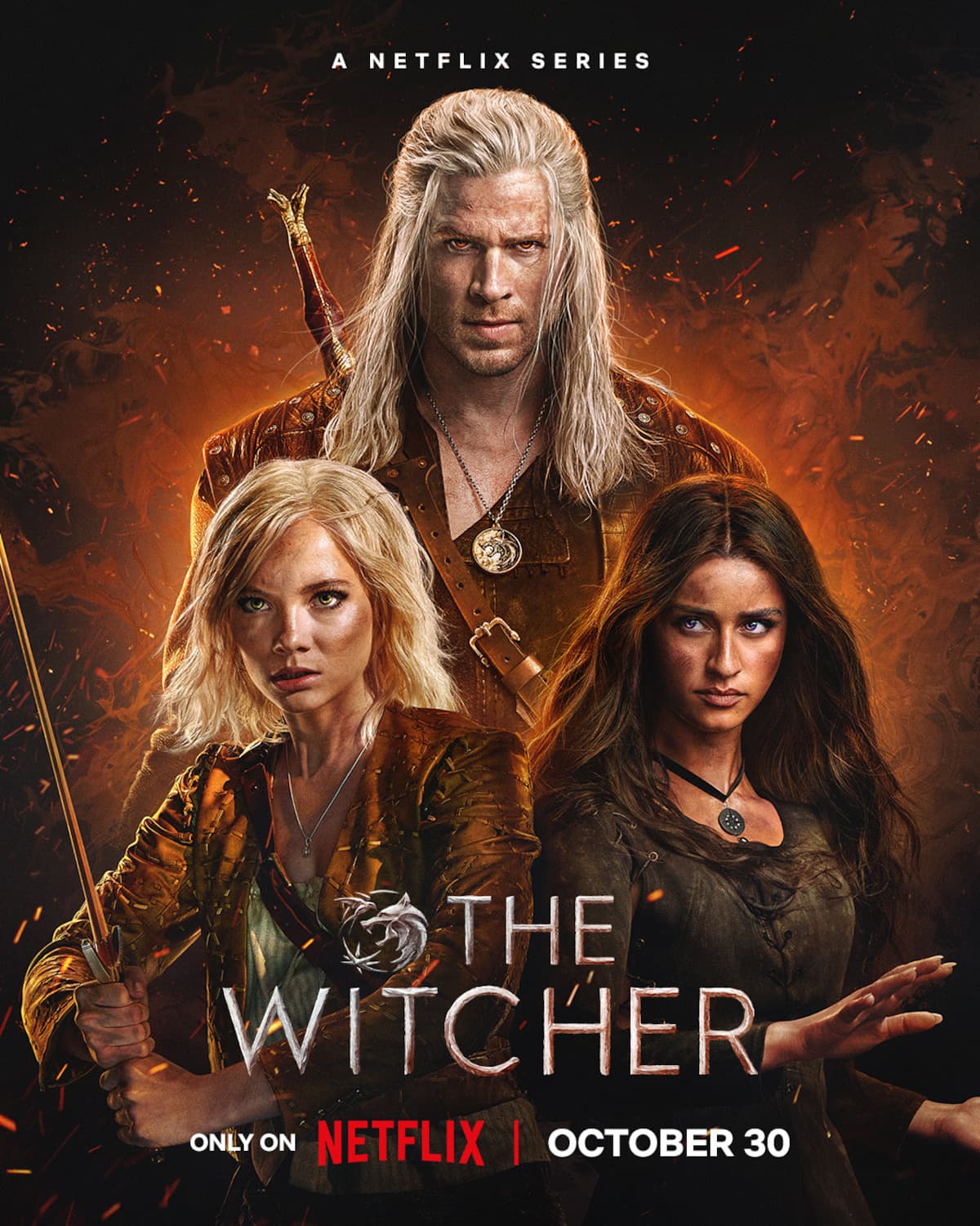 The Witcher poster