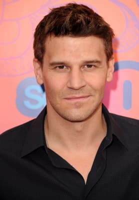 David Boreanaz